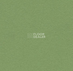 Линолеум Forbo Marmoleum Bulletin Board 2213 baby lettuce фото 1 | FLOORDEALER